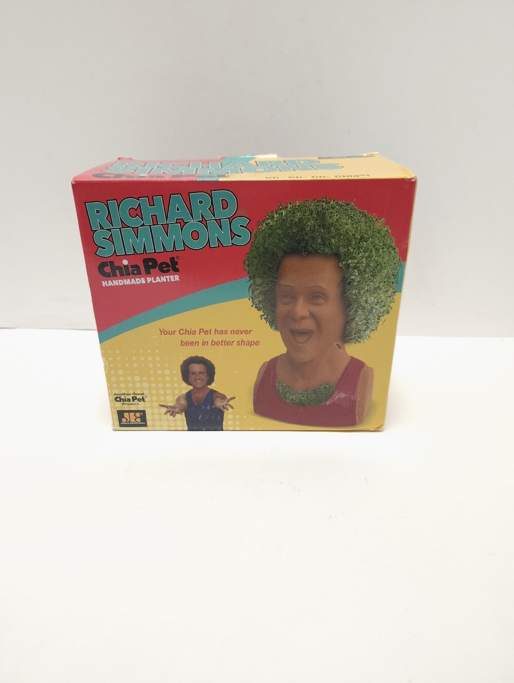 Richard Simmons Chia Pet Home Garden Planter Pottery